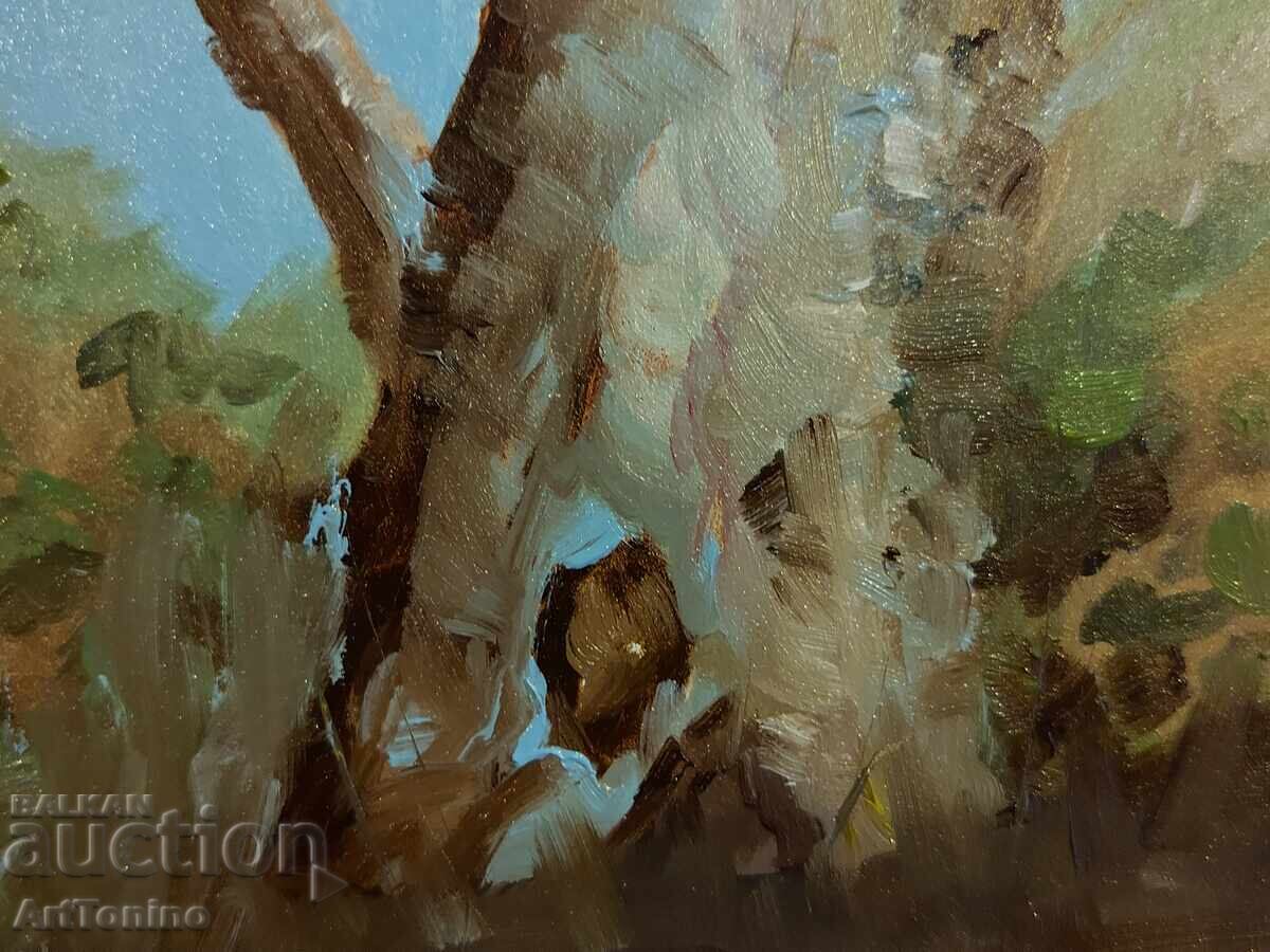 Oil painting - Forest Landscape - Tree - Eucalyptus - 5