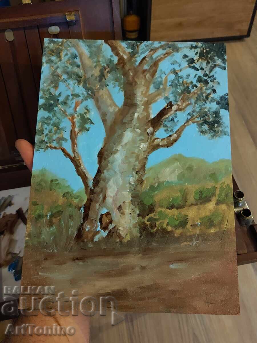 Oil painting - Forest Landscape - Tree - Eucalyptus - 6