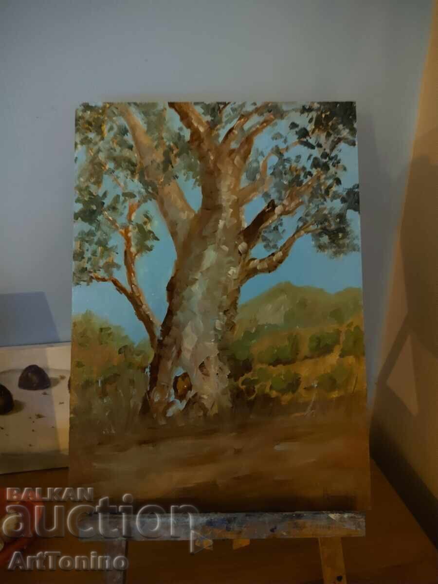 Oil painting - Forest Landscape - Tree - Eucalyptus - 7