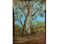 Oil painting - Forest Landscape - Tree - Eucalyptus