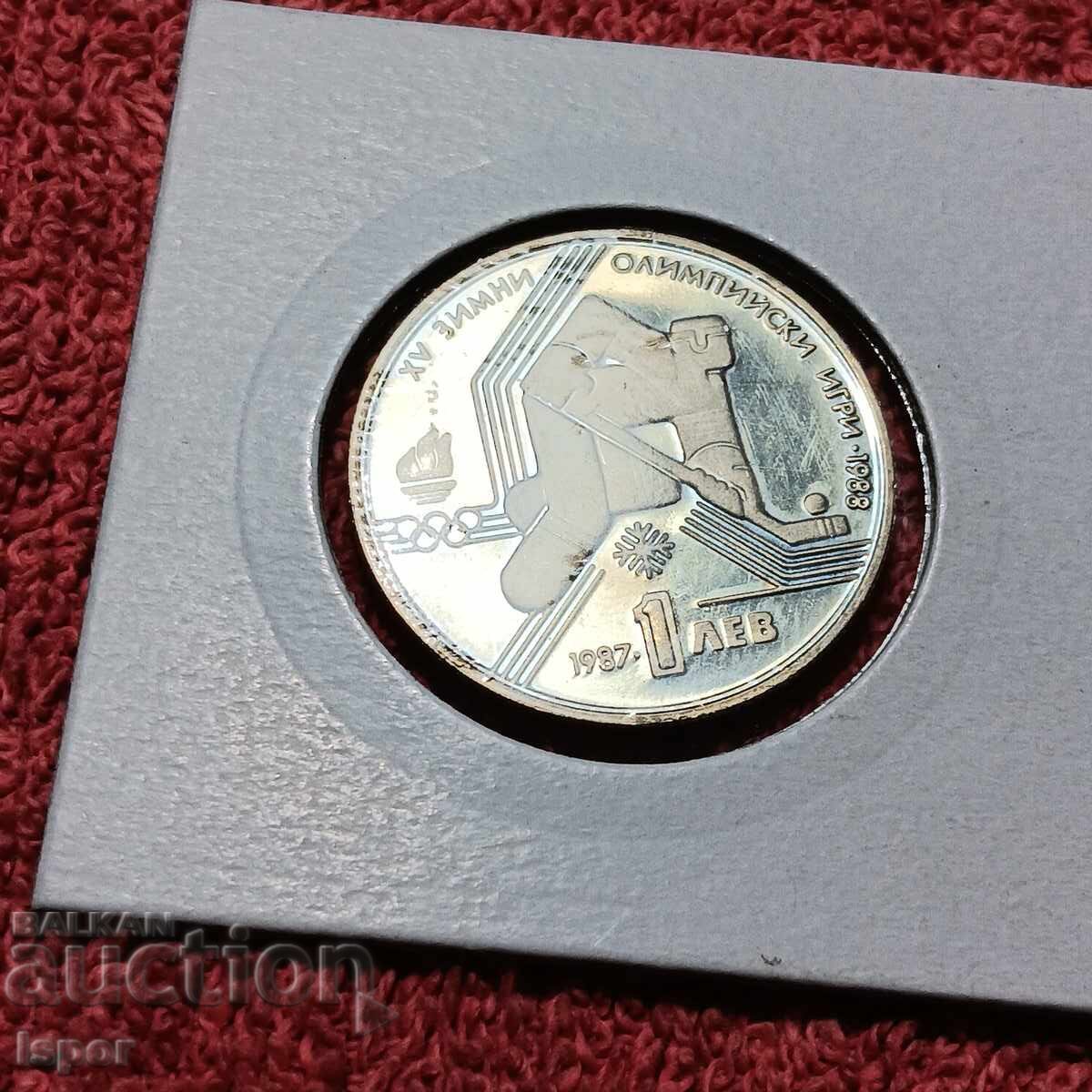 1lv Calgary 1988 1lv Calgary 1988