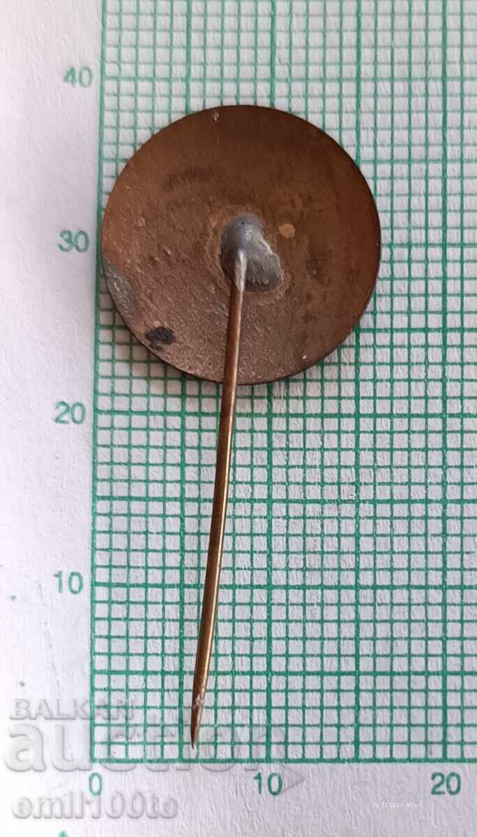 Доставка на Значка- SKDL Финландска народнодемократична лига