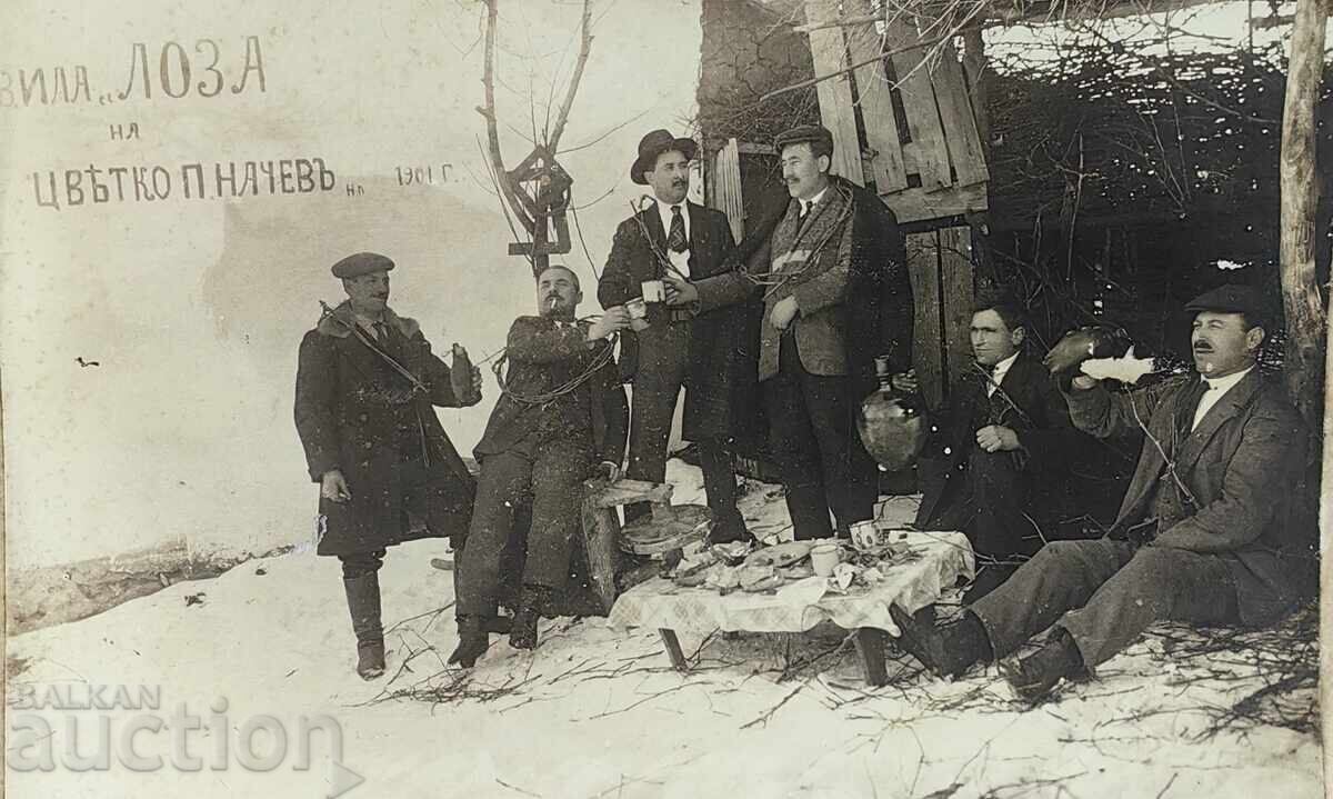 Licitație VILA LOZA PETKO NACHEV SOFRĂ VIN STOAMNĂ BUCĂLIȚĂ POZĂ CARTON