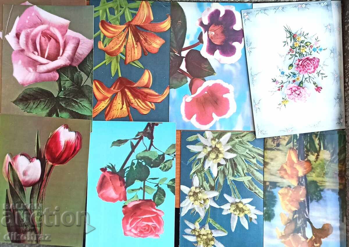 Licitație 60 cărți poștale din anii '60 - pentru 1 €uro