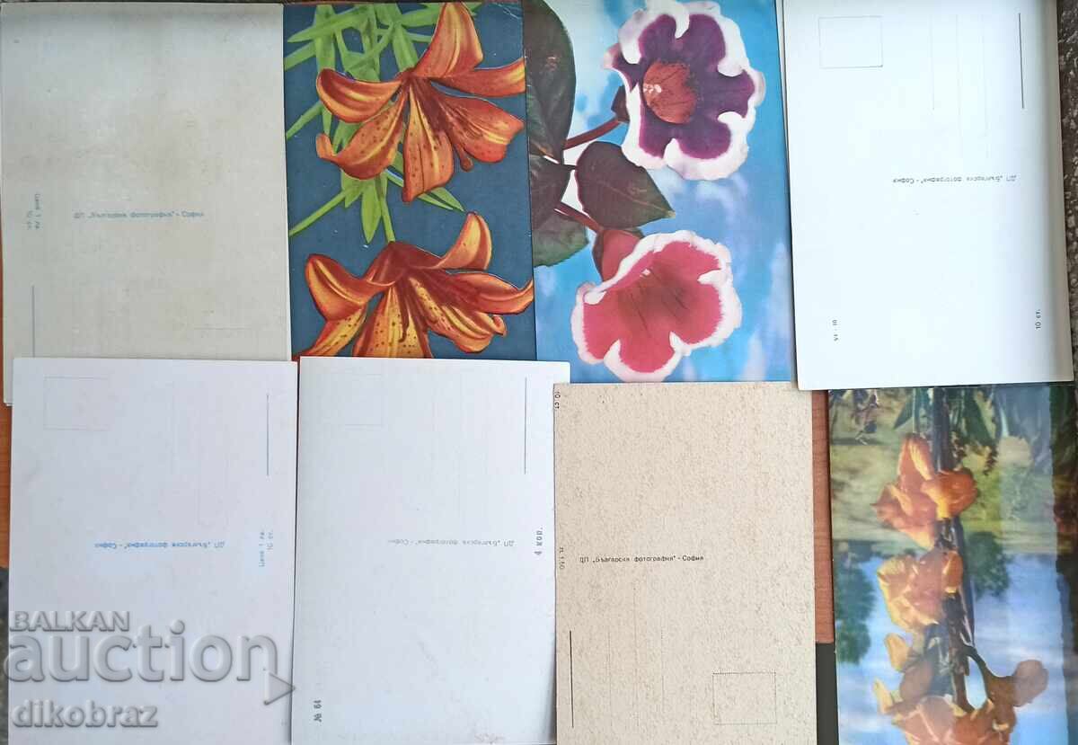 Livrarea 60 cărți poștale din anii '60 - pentru 1 €uro