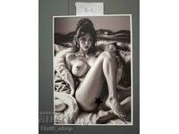 Postcard - Erotica - New