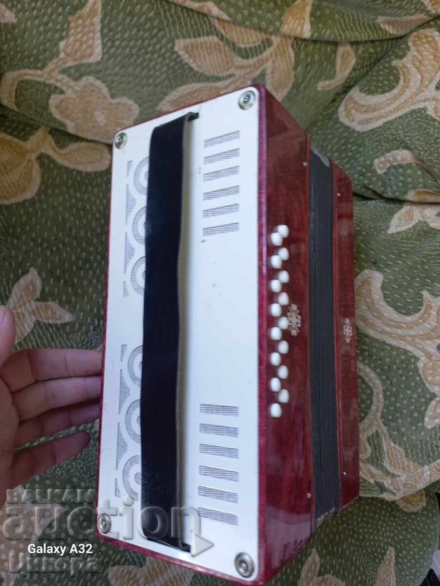 Delivery of CHILDREN'S ACCORDION