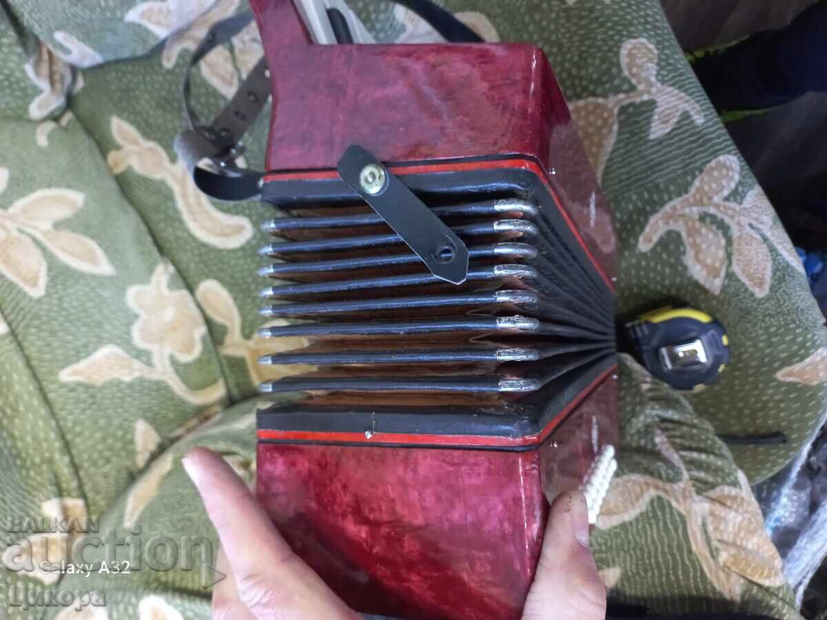 CHILDREN'S ACCORDION - 5