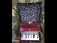 ACORDION PENTRU COPII