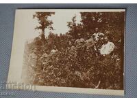 Old Military Photo of Officers in Uniform in the Forest