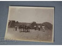 1920 Old Photo Haymaking Horses