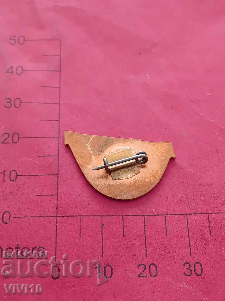 Значка, водопроект, емаил с цена 20.00 лв. | € 10.23