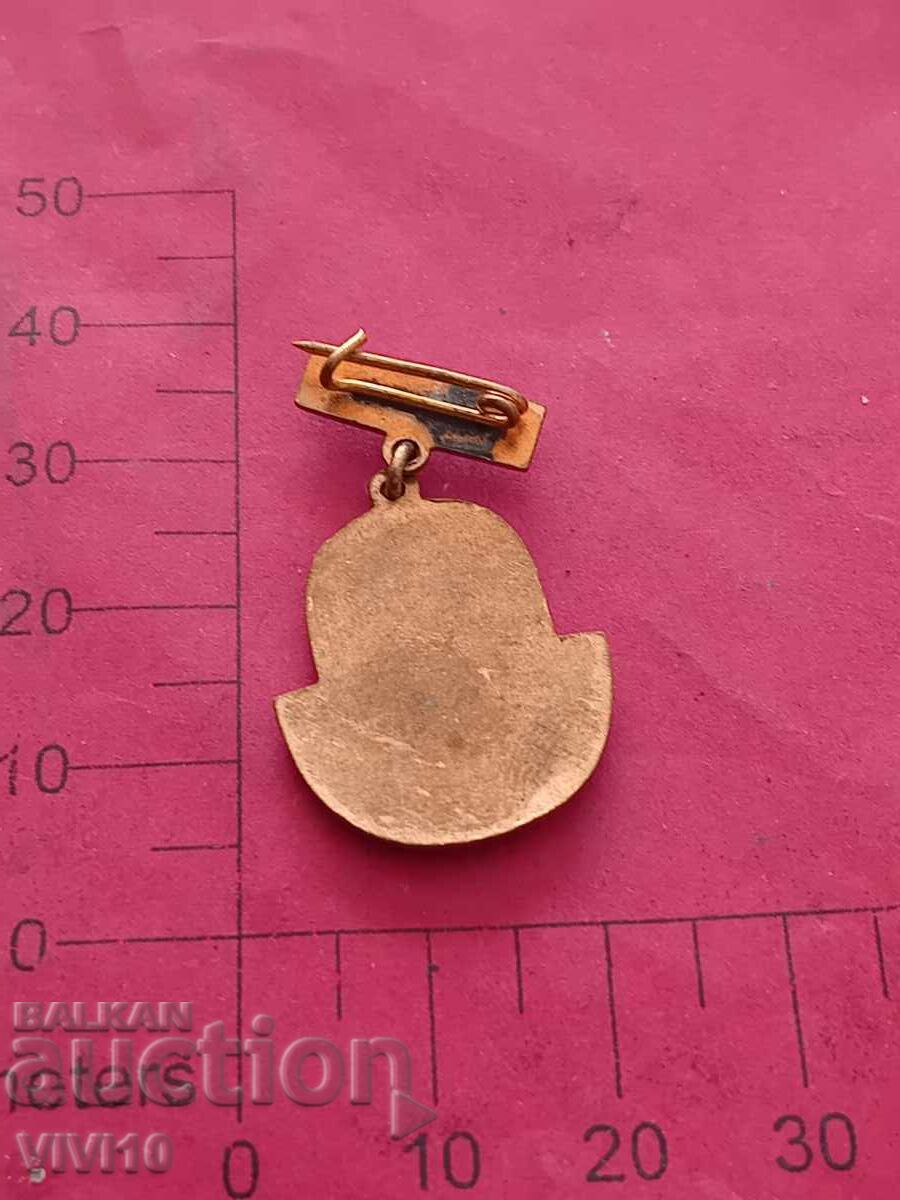 Badge, junior mechanic, email with price 20.00 BGN | € 10.23