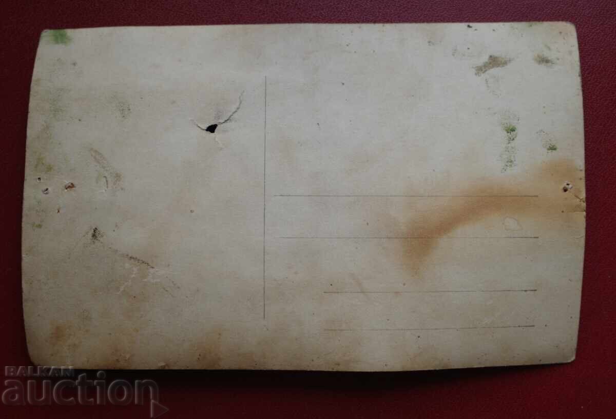 Măceș cu preț 1.00 BGN | € 0.51