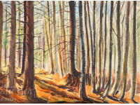 Tablou vechi acuarelă peisaj forestier