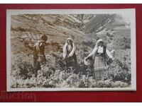 Ροζόμπερ-Ροζόμπερ