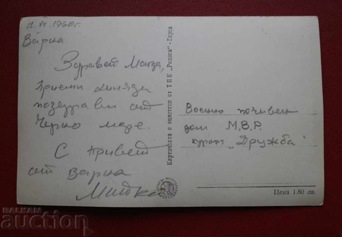 Varna - Albatros Confectionery with price 5.00 BGN | € 2.56 Varna - Albatros Confectionery with price 5.00 BGN | € 2.56