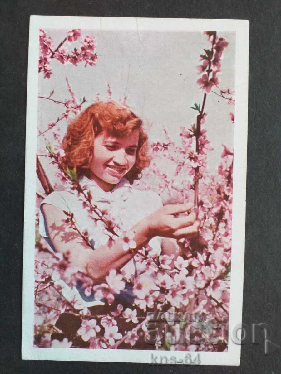 card Bulgaria card Bulgaria