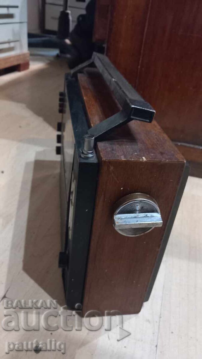 Licitație RADIO SELENA