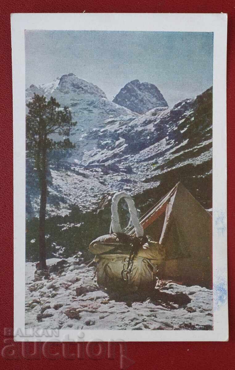 Cort de munte Cort de munte