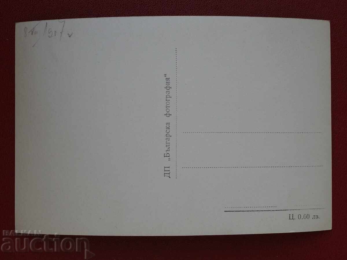 Боровец през зимата с цена 5.00 лв. | € 2.56