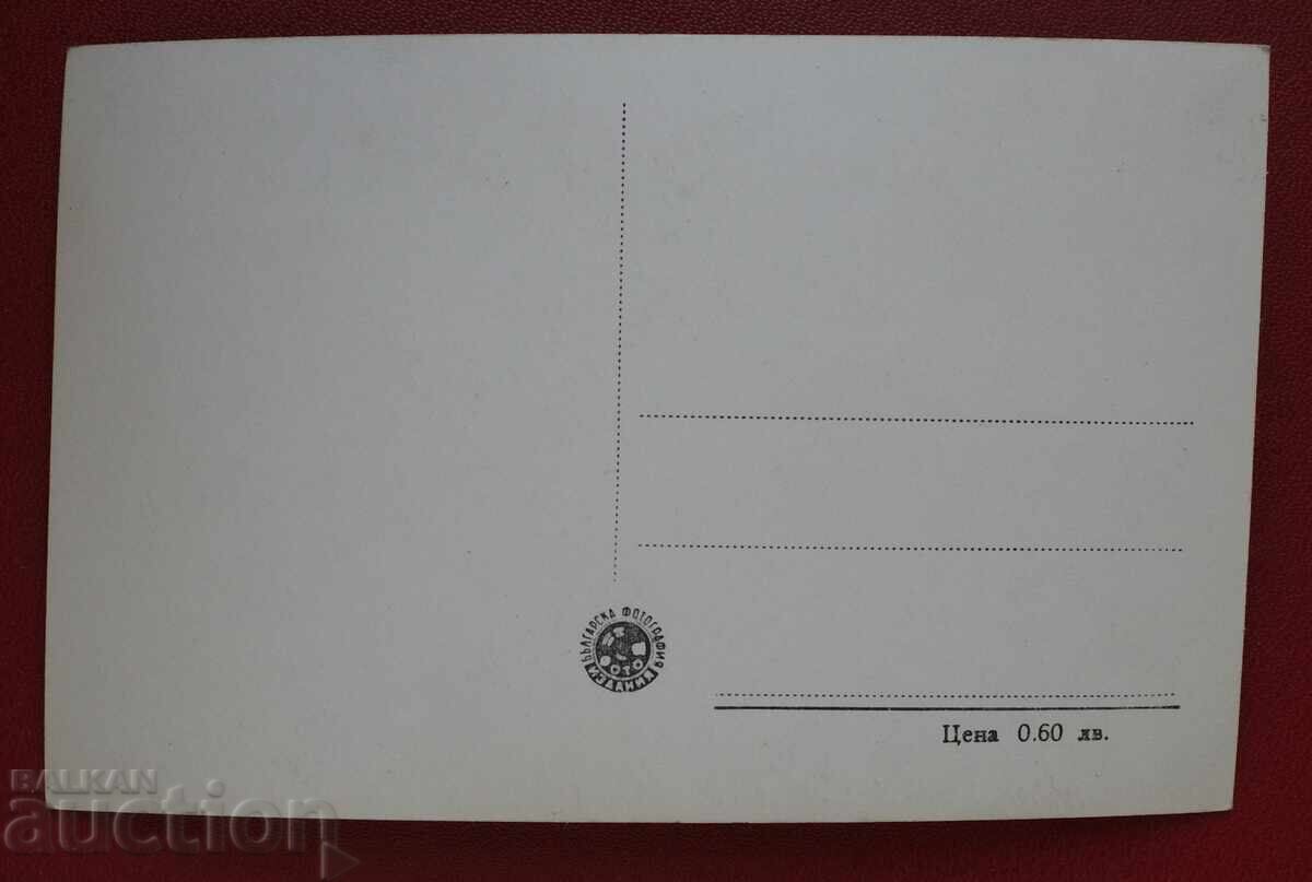 Ρίλα-κορυφή Στάλιν με τιμή 5.00 BGN | € 2.56