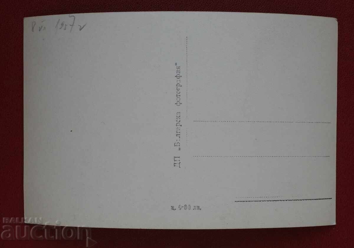 Rila m. Manchu cu preț 5.00 BGN | € 2.56