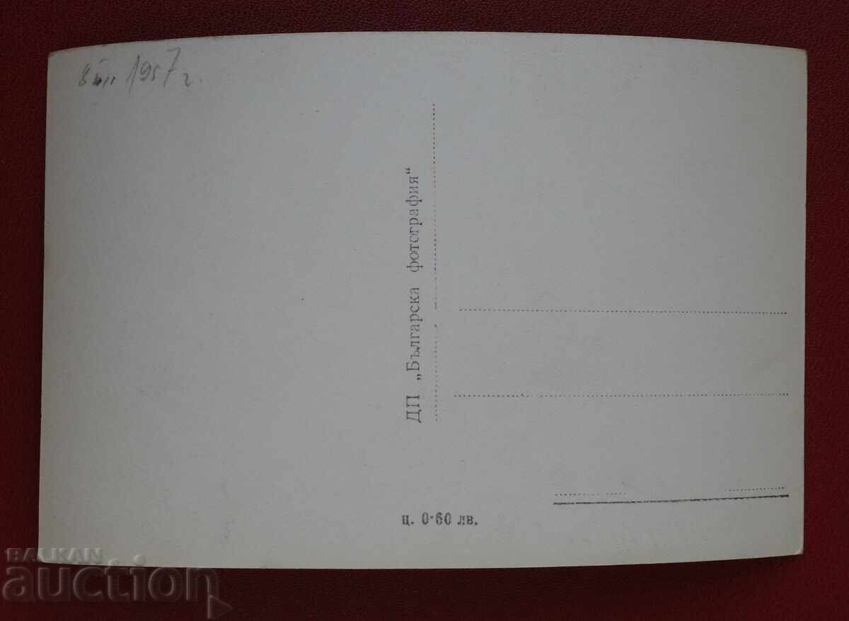 Рила-Погледец (Иозола) с цена 5.00 лв. | € 2.56 Рила-Погледец (Иозола) с цена 5.00 лв. | € 2.56