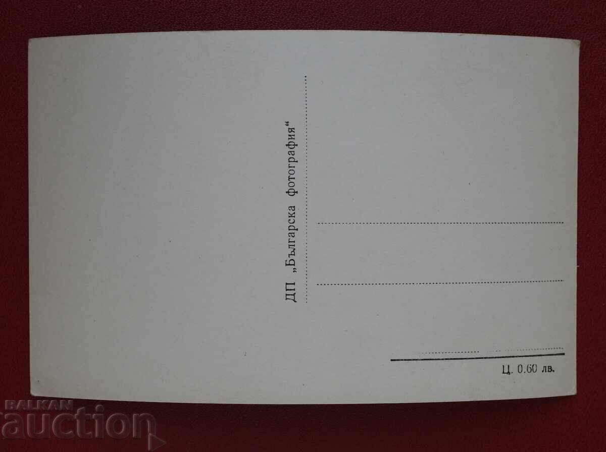 Nessebar με τιμή 5.00 BGN | € 2.56