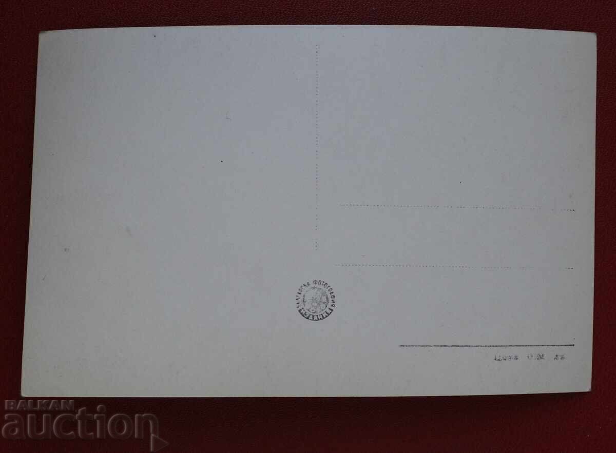 Βάρνα - Morskata Gradina με τιμή 5.00 BGN | € 2.56 Βάρνα - Morskata Gradina με τιμή 5.00 BGN | € 2.56