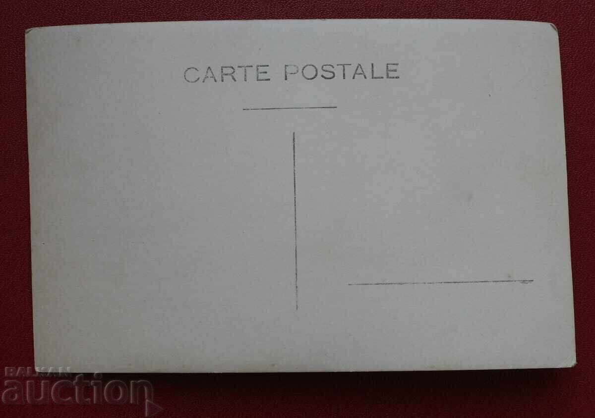 Rosehip with price 10.00 BGN | € 5.11 Rosehip with price 10.00 BGN | € 5.11