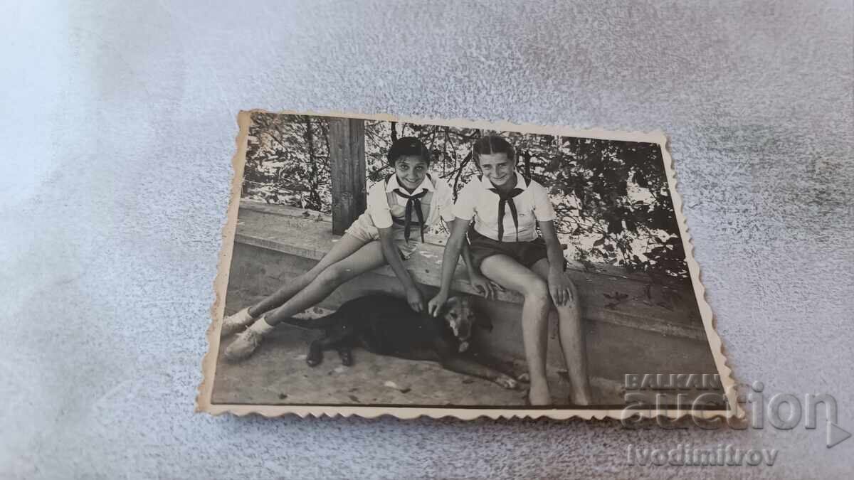 Photograph of Two Girls Petting a Dog 1954
