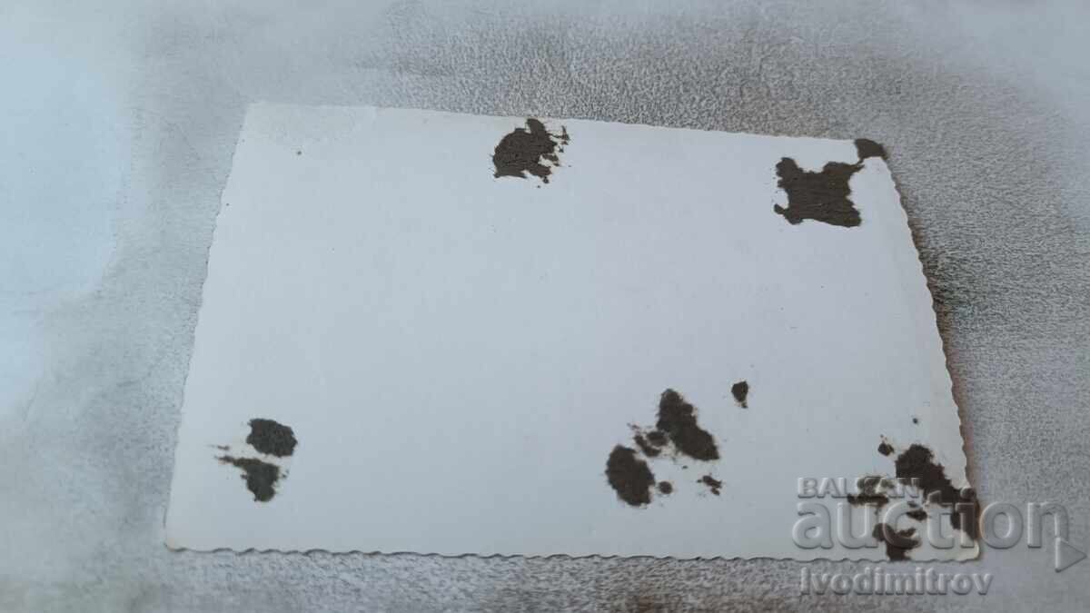 Φωτογραφία Δύο άνδρες στην παραλία με τιμή 1.85 BGN | € 0.95