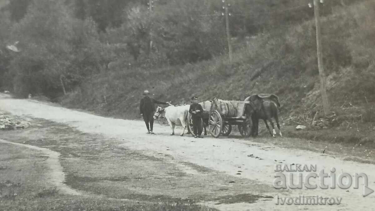 Снимка Петима млади мъже на шосето с цена 2.45 лв. | € 1.25