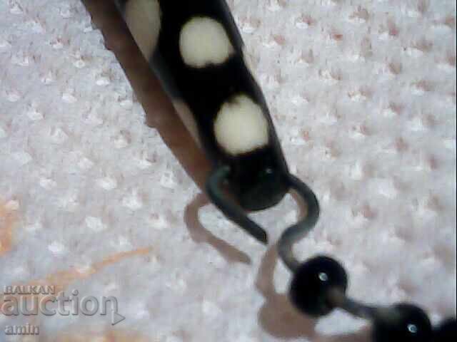 Auction  STAR STONE TIBET