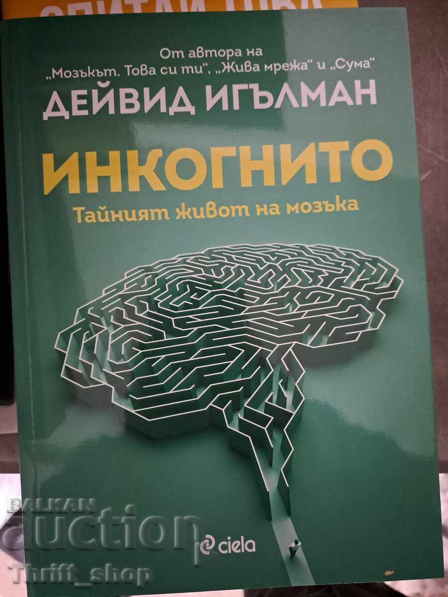 Ίνκογκνιτο - η μυστική ζωή του εγκεφάλου Ντέιβιντ Ίγκλμαν