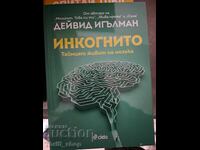 Ίνκογκνιτο - η μυστική ζωή του εγκεφάλου Ντέιβιντ Ίγκλμαν