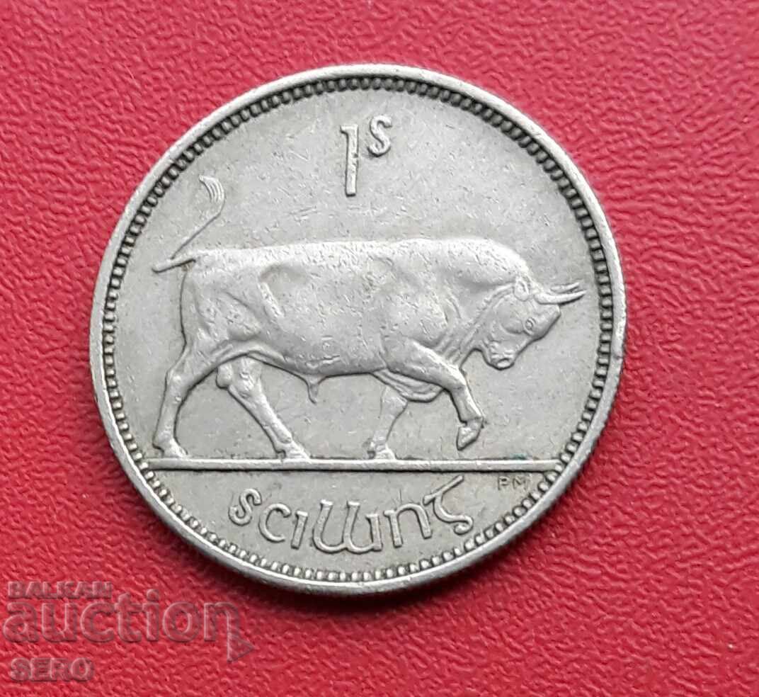 Irlanda - 1 șiling 1954