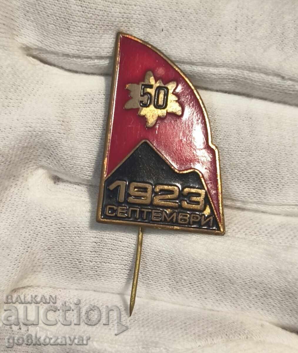 Old Soviet Enamel Badge