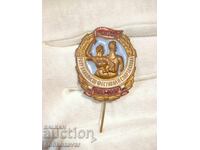 FESTIVAL REPUBLICAN ȘI SPARTAKYADA 1958-1959 RYA ESMALUTĂ