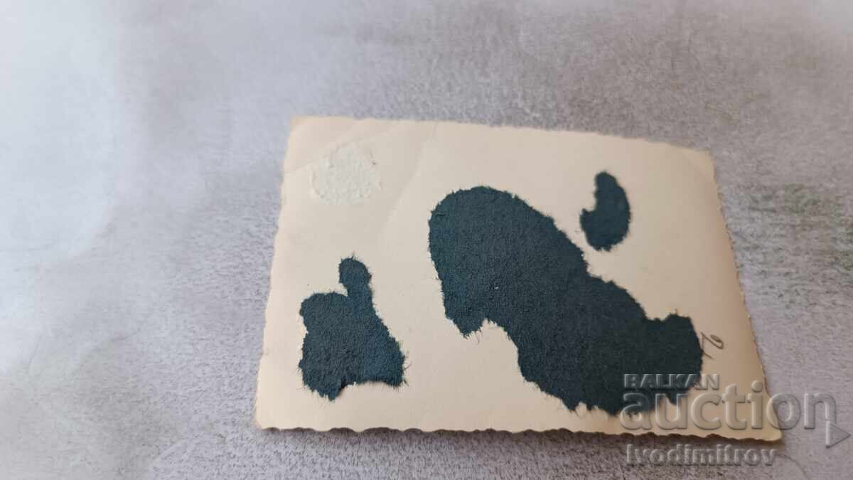 Δημοπρασία Φωτογραφία Άνδρες και γυναίκες με ρετρό αυτοκίνητο με αριθμό κυκλοφορίας Πλ 534