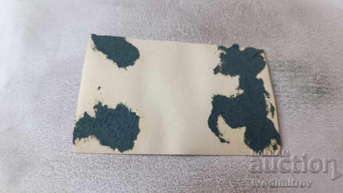 Delivery of Photo of men and women with a retro car with license plate TV 256