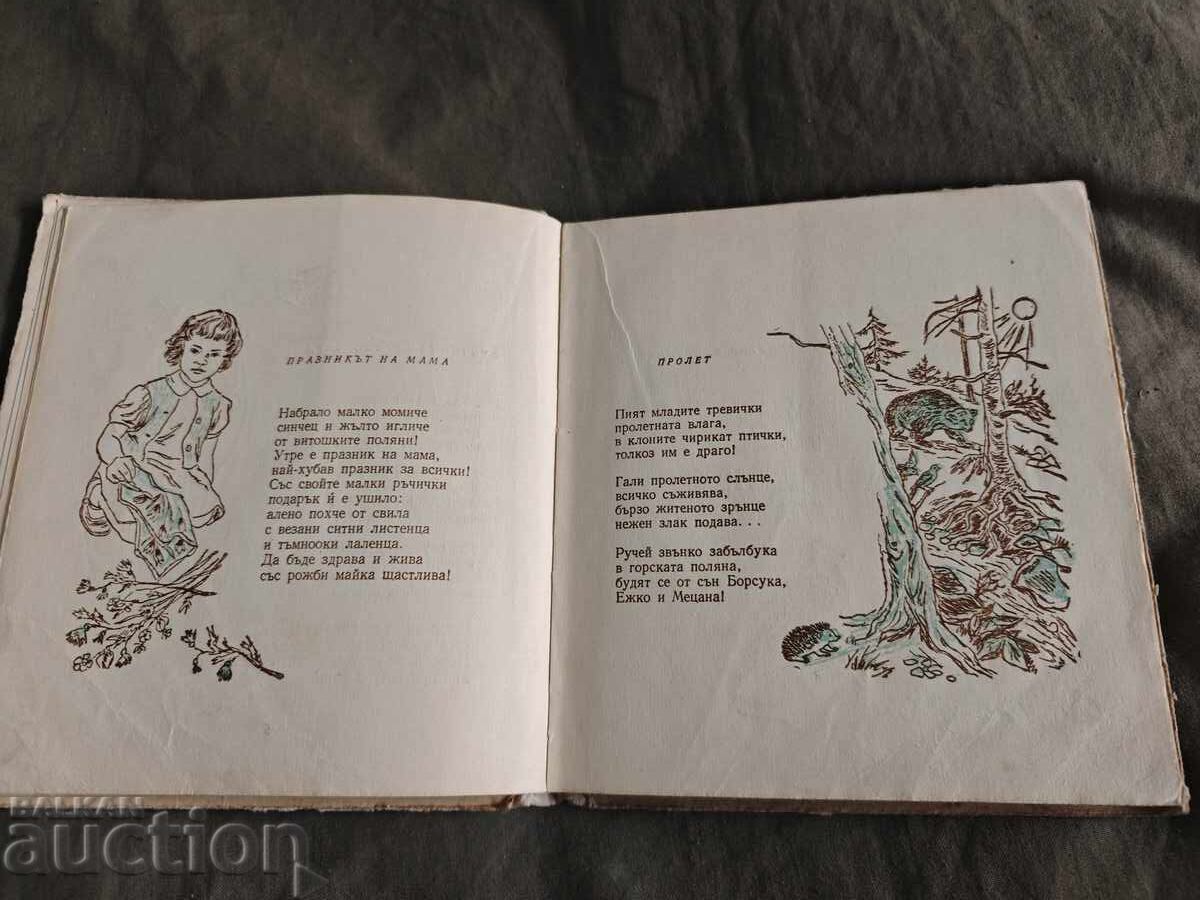 Livrarea Pui de mare Vesela Paspaleeva