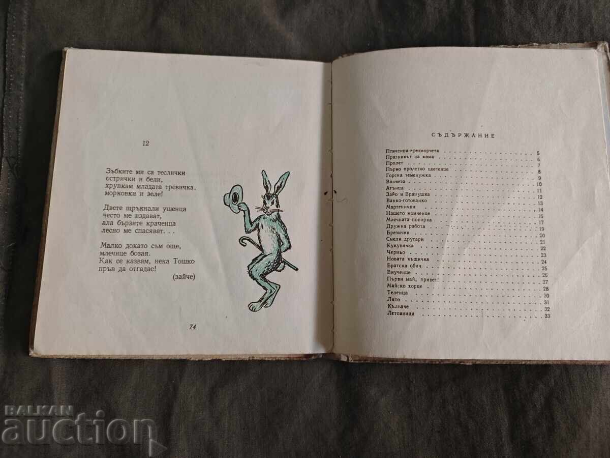 Pui de mare Vesela Paspaleeva - 6