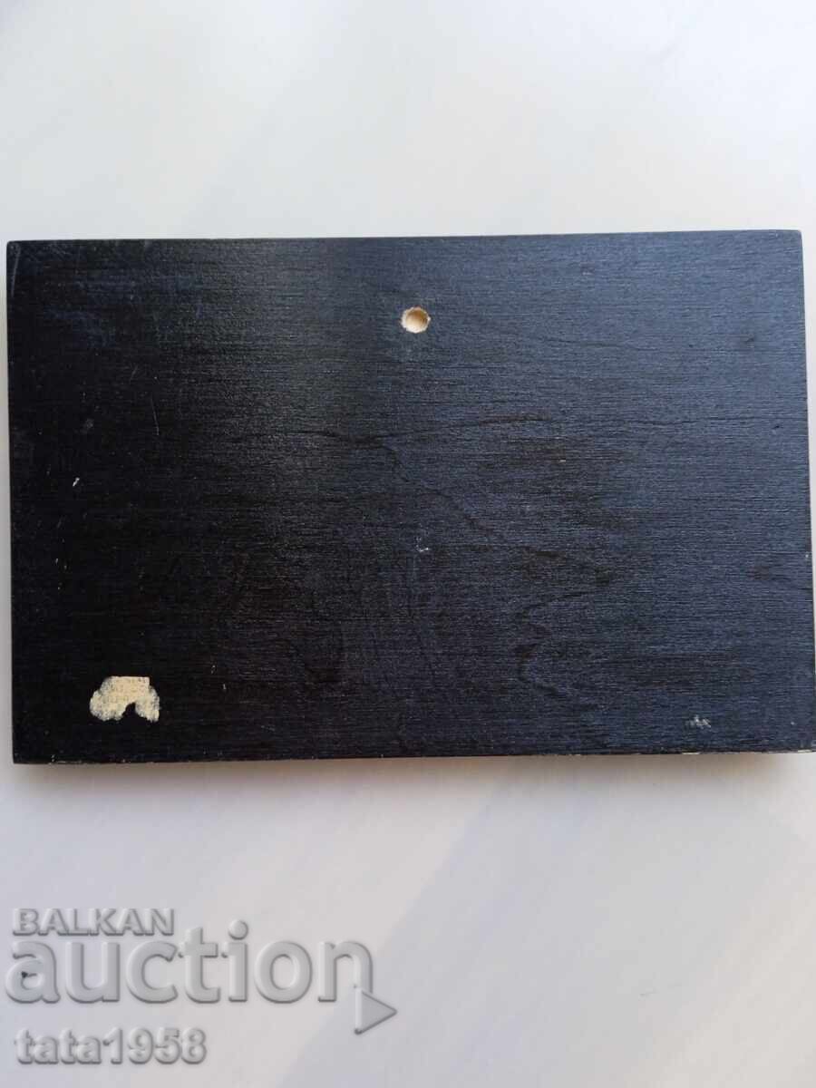 Painting with Baltic amber on wood 16*24.5 cm - 6