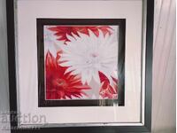 Acuarelă Frumoasă!