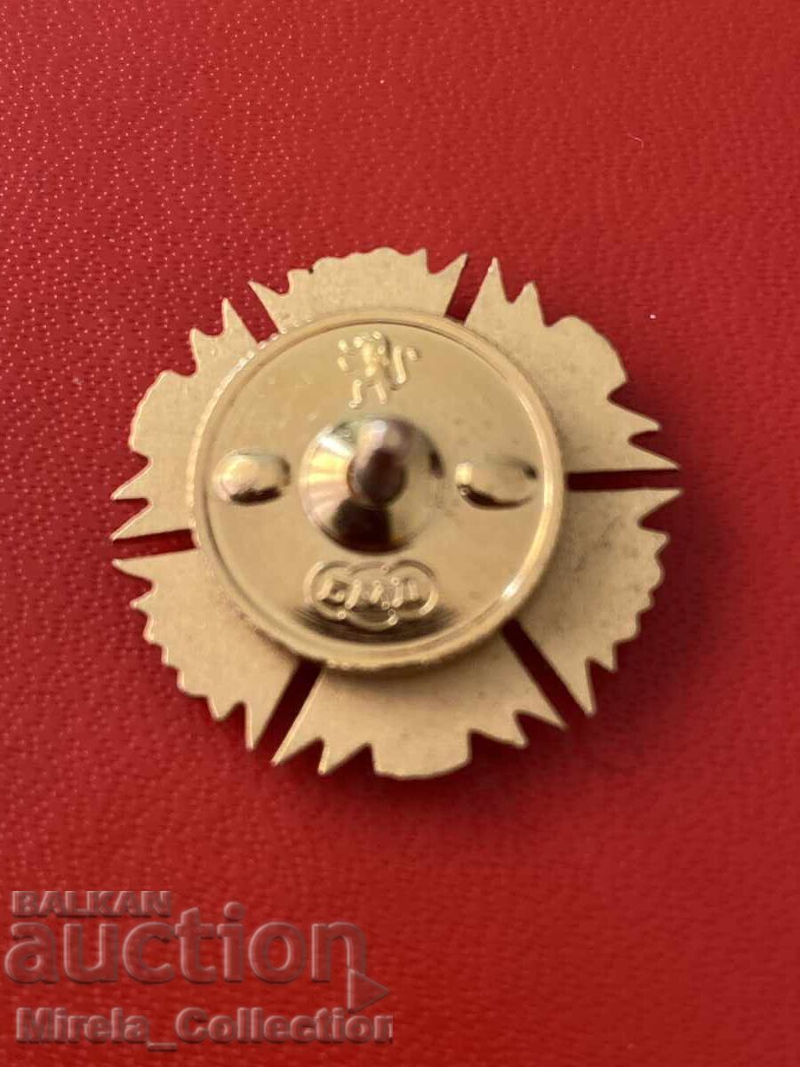 Licitație Ecuson cetățean de onoare al orașului Sliven