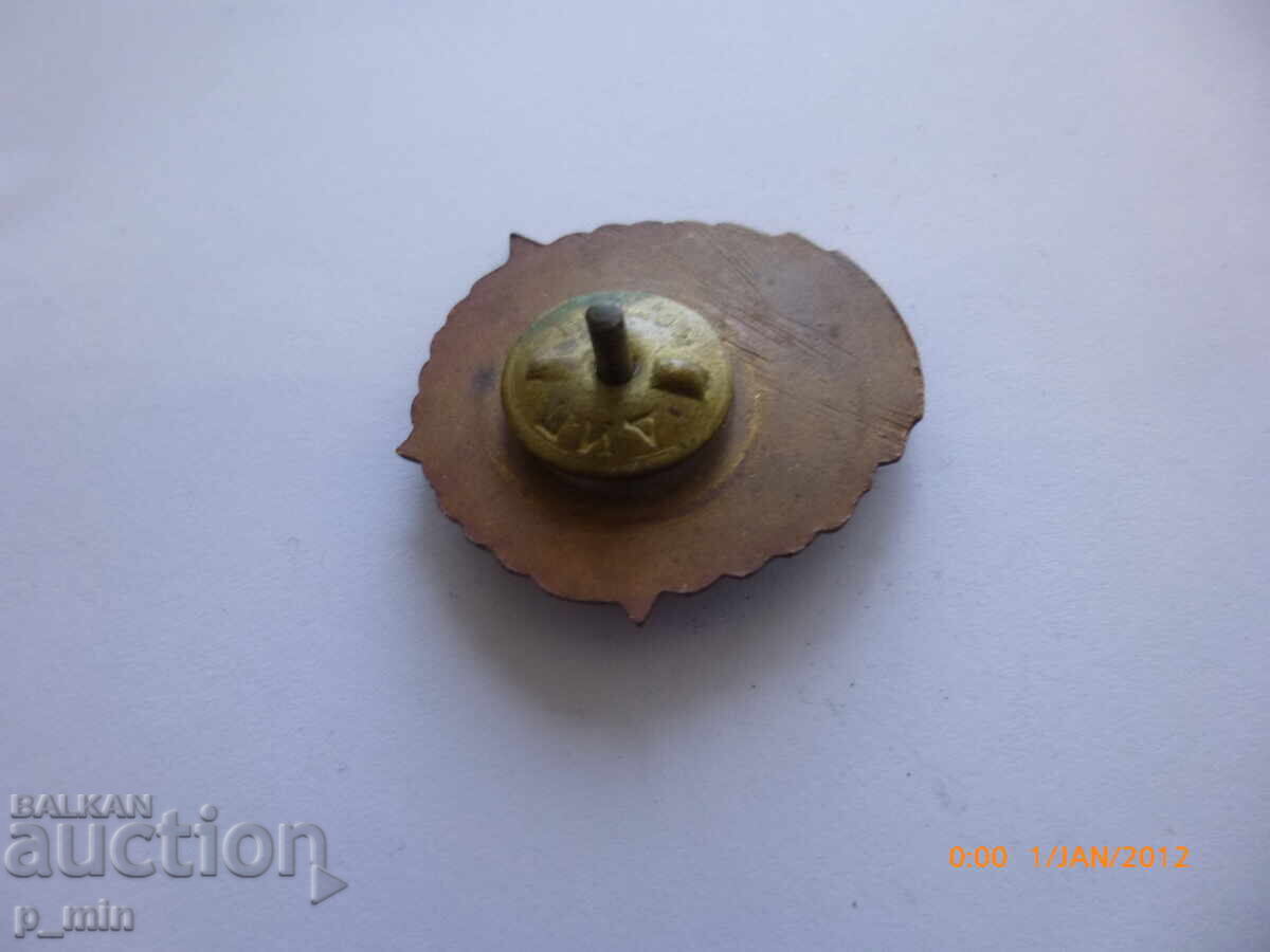 Licitație Emblem piept 25 ani Trupe de Graniță