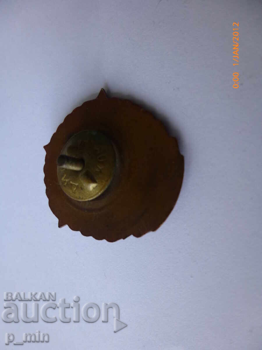 Emblem piept 25 ani Trupe de Graniță - 5