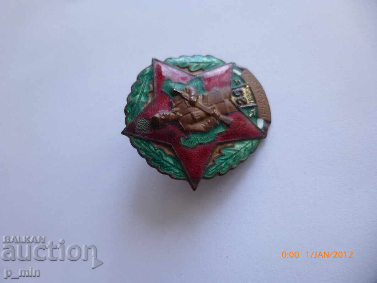 Emblem piept 25 ani Trupe de Graniță